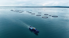 <b>齐心建粮安 广东省属企业以实干护好群众“盘西</b>